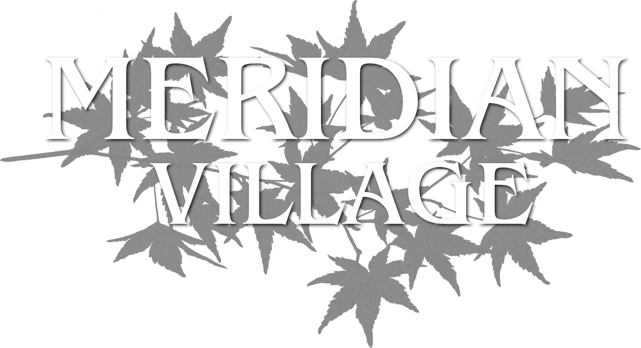 an image of the meridian violence logo